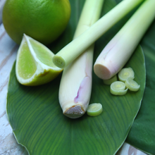 Load image into Gallery viewer, Lemongrass &amp; Persian Lime Candle
