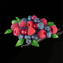 Load image into Gallery viewer, Reed Diffusers