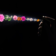 Load image into Gallery viewer, Inspired by Black Opium
