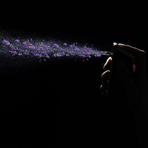 Lavender