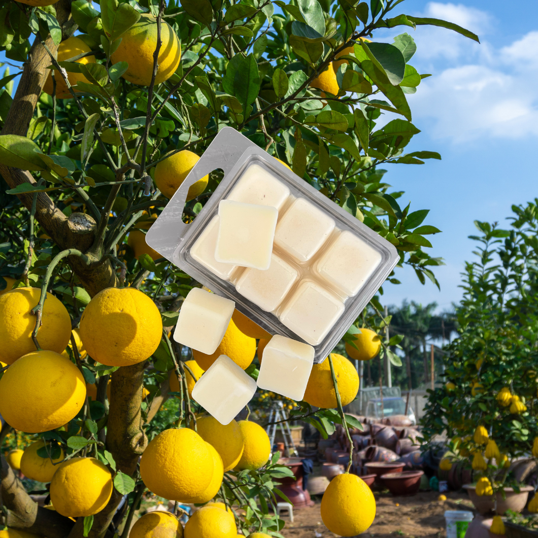 Amalfi Coast Wax Melts