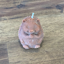 Load image into Gallery viewer, Woodland Animal Hedgehog Snugglepaws Candle