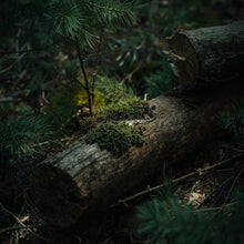 Load image into Gallery viewer, Christmas Candle Tin