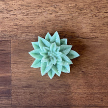 Load image into Gallery viewer, Wax Melts