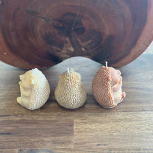 Load image into Gallery viewer, Woodland Animal Hedgehog Snugglepaws Candle