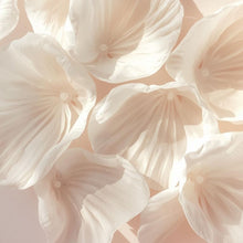 Load image into Gallery viewer, Reed Diffusers