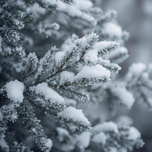 Load image into Gallery viewer, Christmas Candle Tin