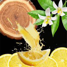 Load image into Gallery viewer, Reed Diffuser Scents